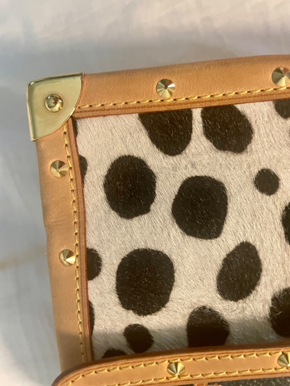 Louis Vuitton x Takashi Murakami Multicolor Monogram Dalmatian Pochette - Picture 10 of 14